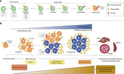 Targeted therapy for multiple myeloma: an overview on CD138-based strategies